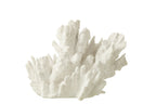 J-Line decoratie Koraal - polyresin - wit - groot