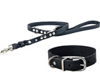 Giro leren riem voor honden