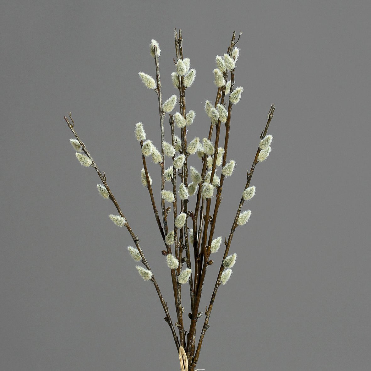 Wilgentak bundel 42cm