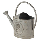 Decoratie gieter 45x16x33 cm
