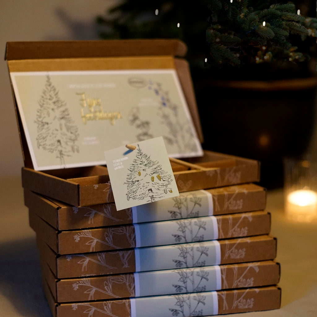 Cadeaudoosje Fijne feestdagen