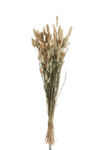 J-Line Droogbloemen - bundel pluim - gedroogd gras - naturel