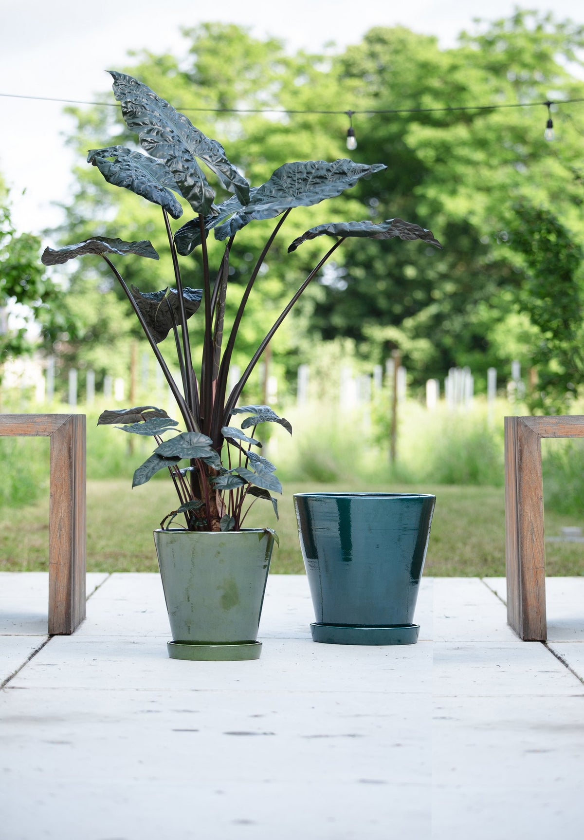 Vibe pot met schotel sh groen