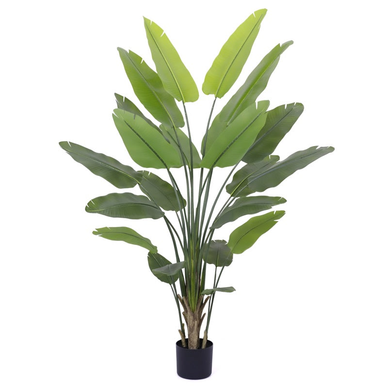 Kunstplant Strelitzia 230cm
