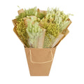 Gedroogde bloemen Mono Bunches - Soft Lime