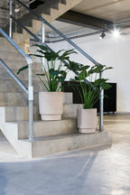 Chaopot beton