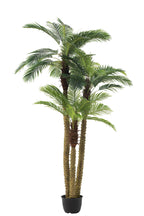J-Line Palmboom 3Delig Real Touch In Pot Plastiek Groen
