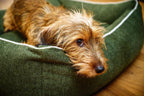 Ortho Dog Bett - Eco Olive
