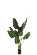 J-Line Strelitzia Plastiek Groen Small