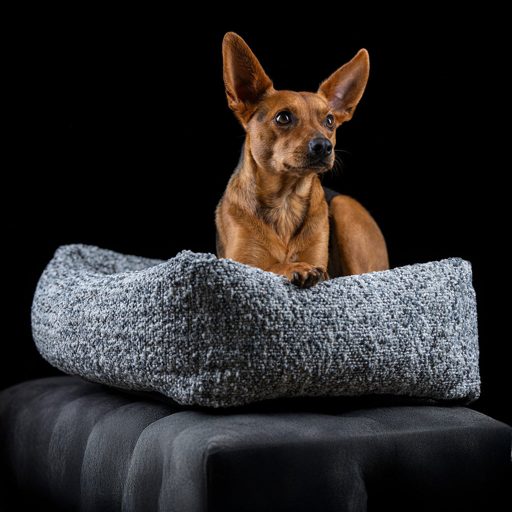 Siena Ortho | Premium orthopedisch hondenbed