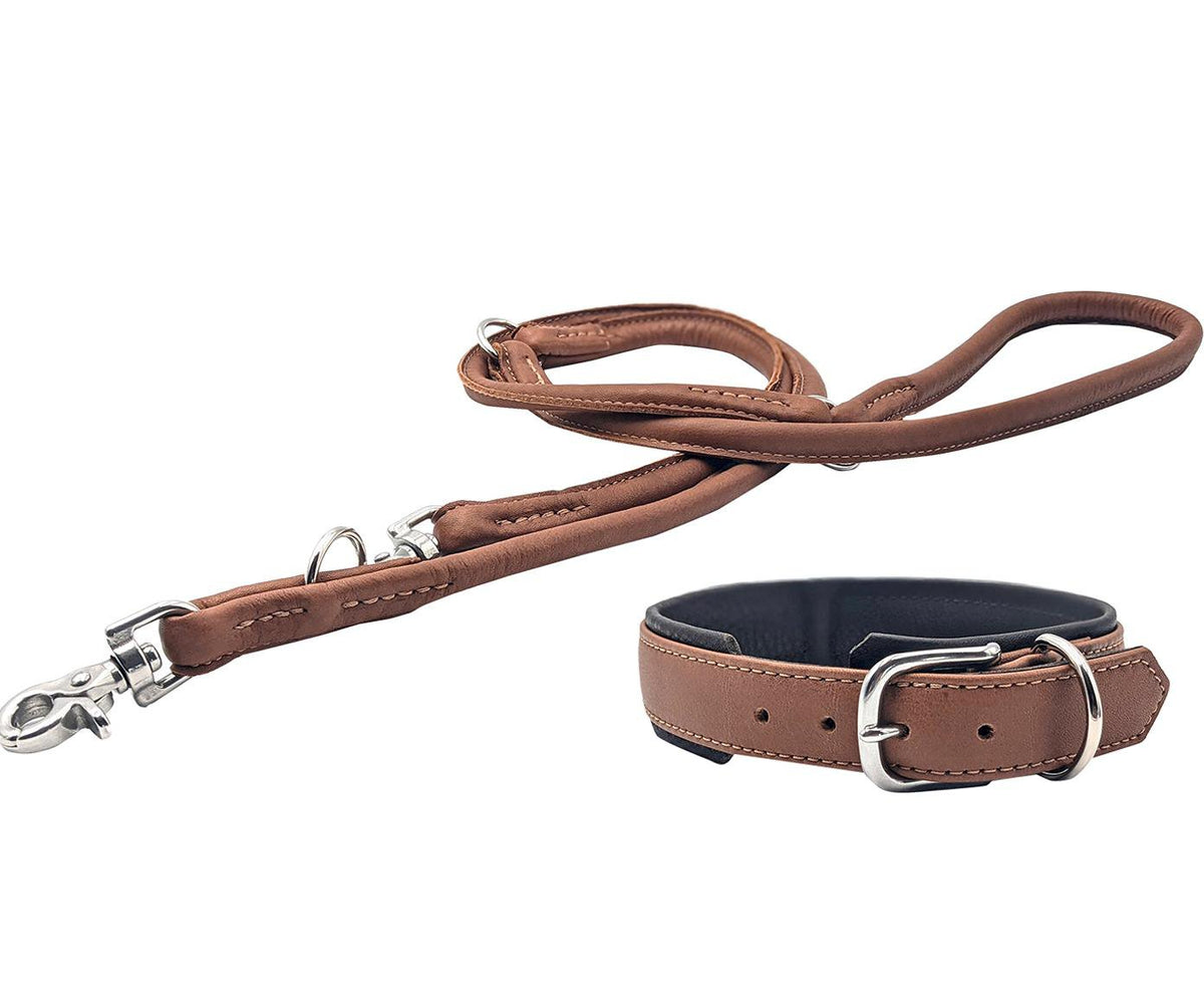 Amici - Elegante ronde riem voor modebewuste hondenliefhebbers