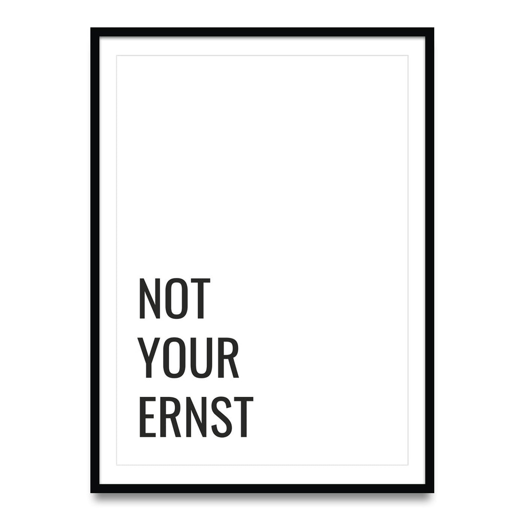 Niet uw Ernst - Poster 5er set