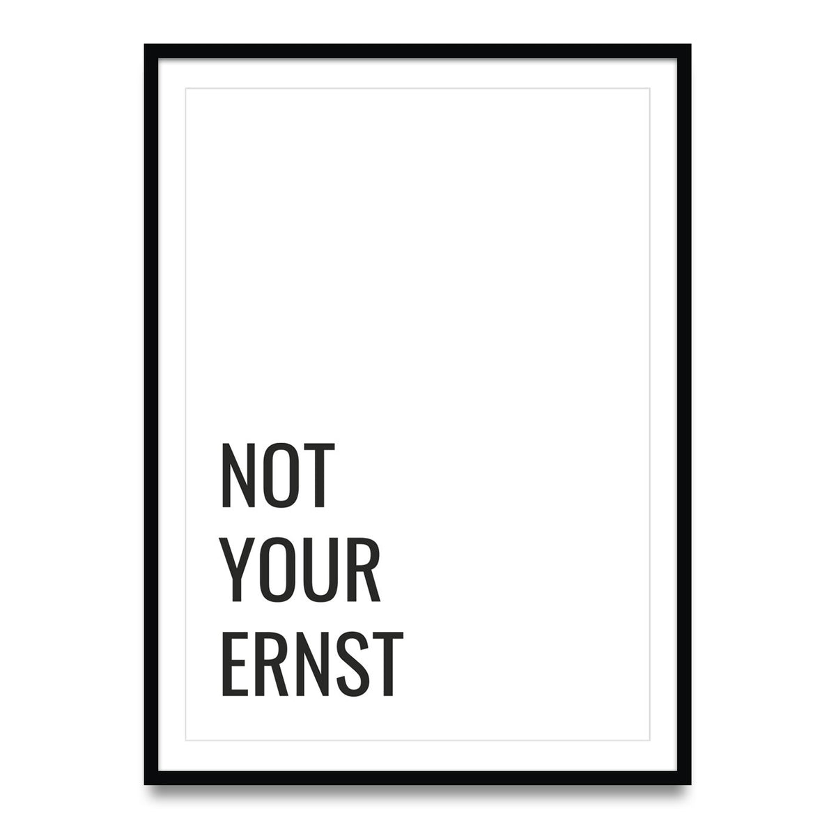 Niet uw Ernst - Poster 5er set