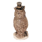 Decoratie Beeld Uil 14 cm Bruin Kunststof