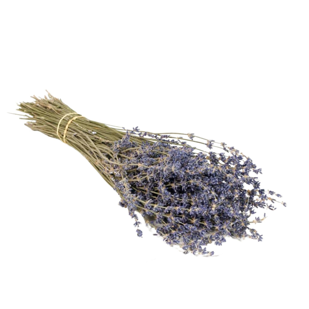 Gedroogde bloemen - Lavendel natuurlijk blauw