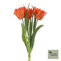 Abrahams tulpen Sally zalm 40cm