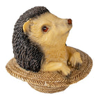 Beeld Egel 8x8x9 cm Bruin Kunststof Egel