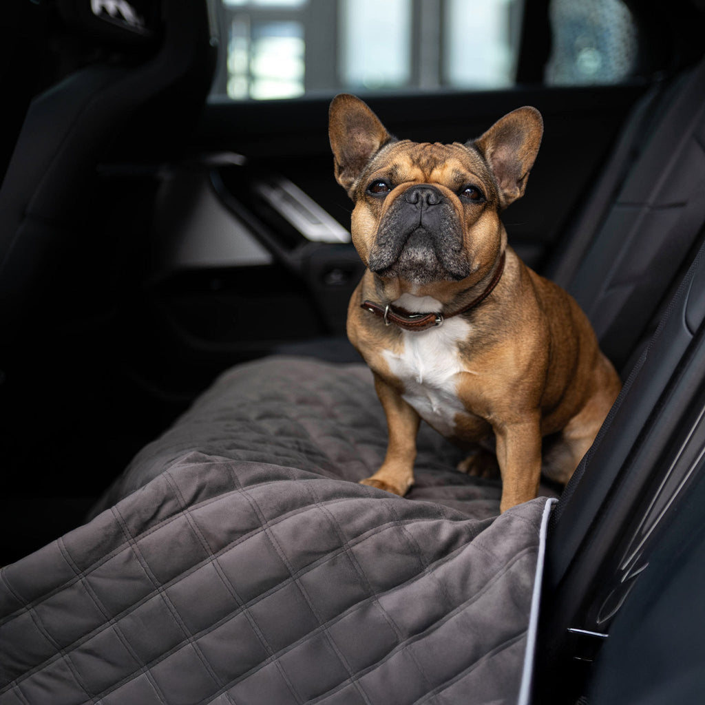 Oxford fluwelen deken voor honden