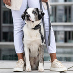 Laboni Amici – Rondgestikte leren riem
