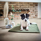 Teddy reis- en outdoordeken voor honden