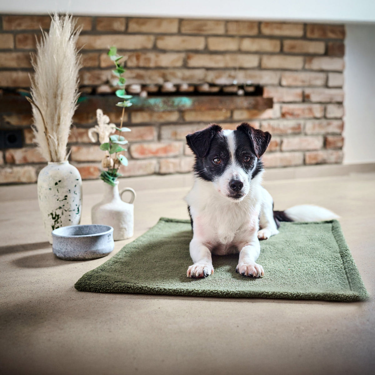 Teddy reis- en outdoordeken voor honden