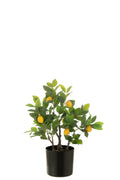 J-Line Citroenboom Pot Kunstmatig Groen Small