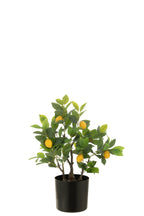 J-Line Citroenboom Pot Kunstmatig Groen Small