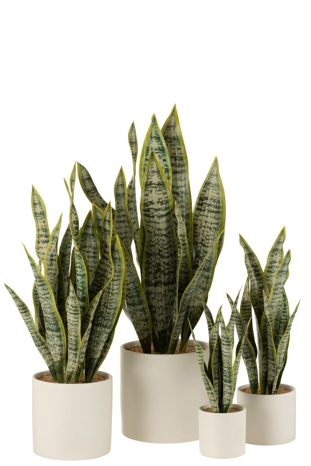 J-Line plant Sansevieria In Pot - kunststof - groen - extra large