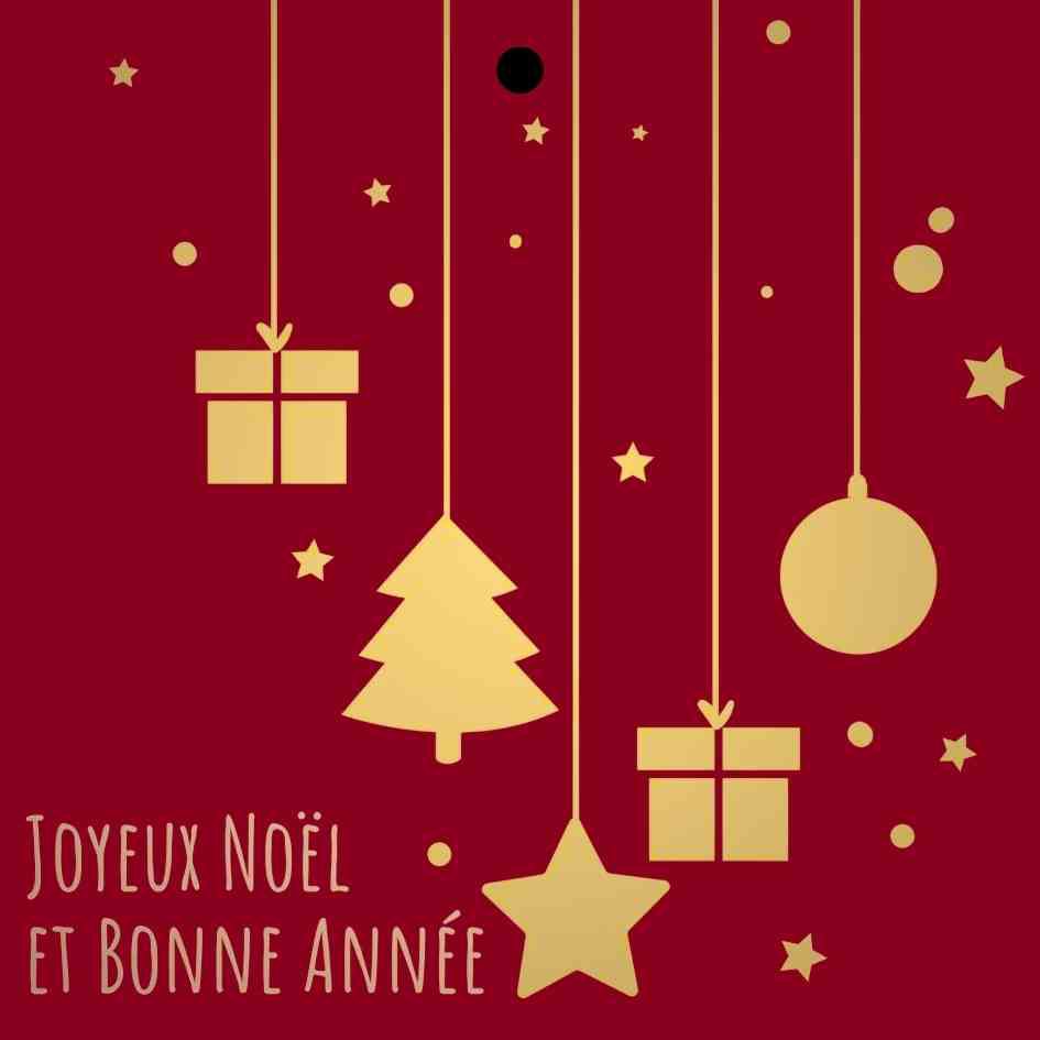 Cadeaukaartje – “Joyeux Noël et Bonne Année” – 20 Stuks