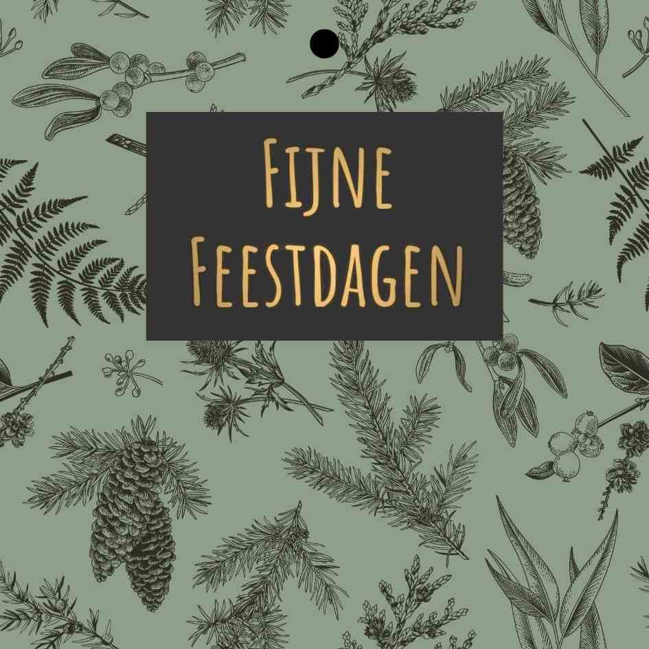 Cadeaukaartje – “Fijne Feestdagen” – 20 Stuks