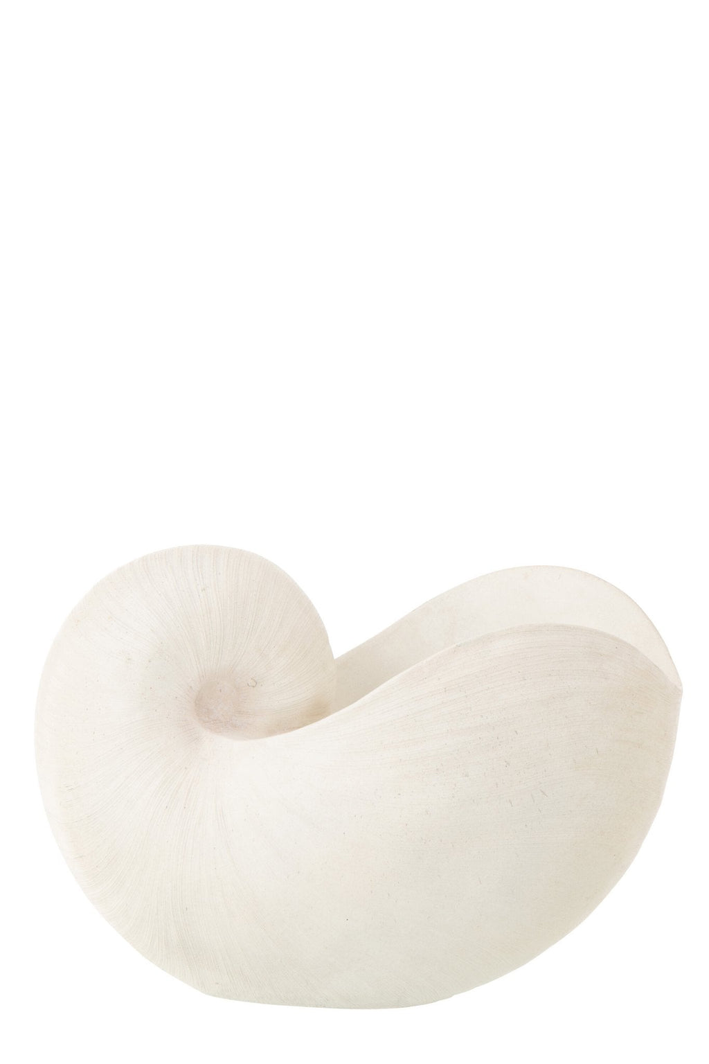 J-Line decoratie Schelp - polyresin - wit
