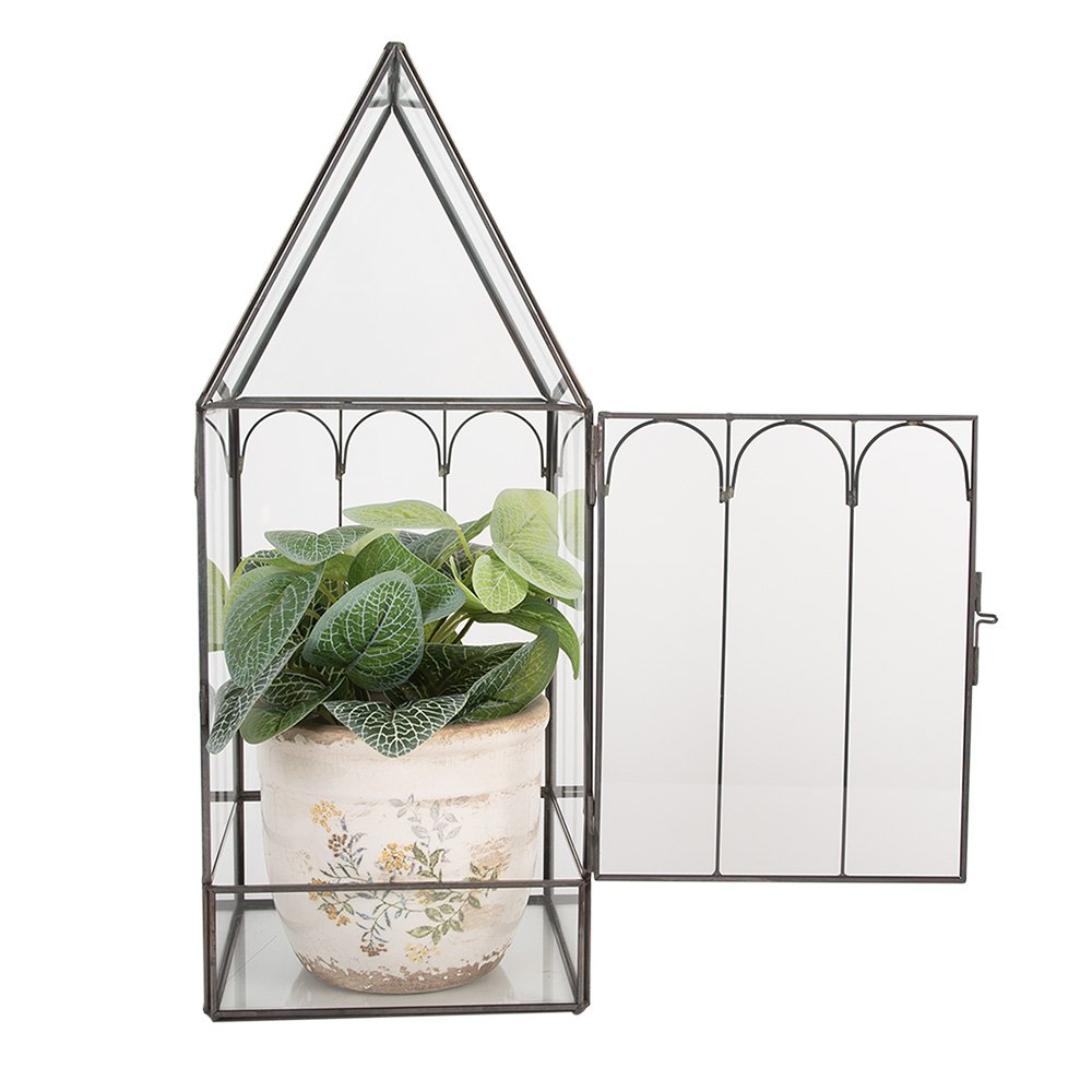 Decoratie KweekKastje 15x15x38 cm transparant metaal