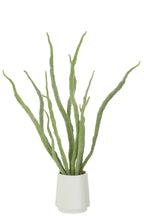 J-Line Vetplant In Pot Kunstmatig Groen