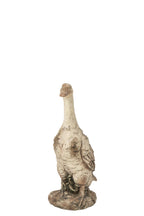 J-Line Gans voor buiten - magnesium - ecru/beige