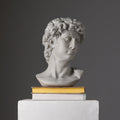 Witte David Bust Sculpture Michelangelo Geïnspireerd Klassiek Standbeeld voor Home Decor