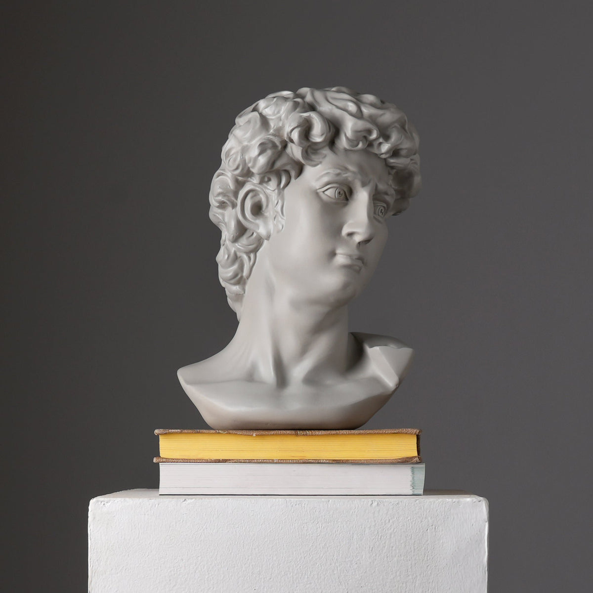 Witte David Bust Sculpture Michelangelo Geïnspireerd Klassiek Standbeeld voor Home Decor