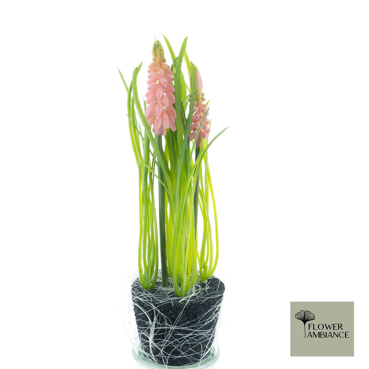 Muscari met gras in modderroze 20cm