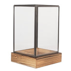 Decoratie Kweekkastje 12x12x19 cm Transparant Glas