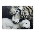 Placemat schaap en lam 30x40cm (4)