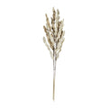 Droge bloem senneterre bruin 20x2x60 cm