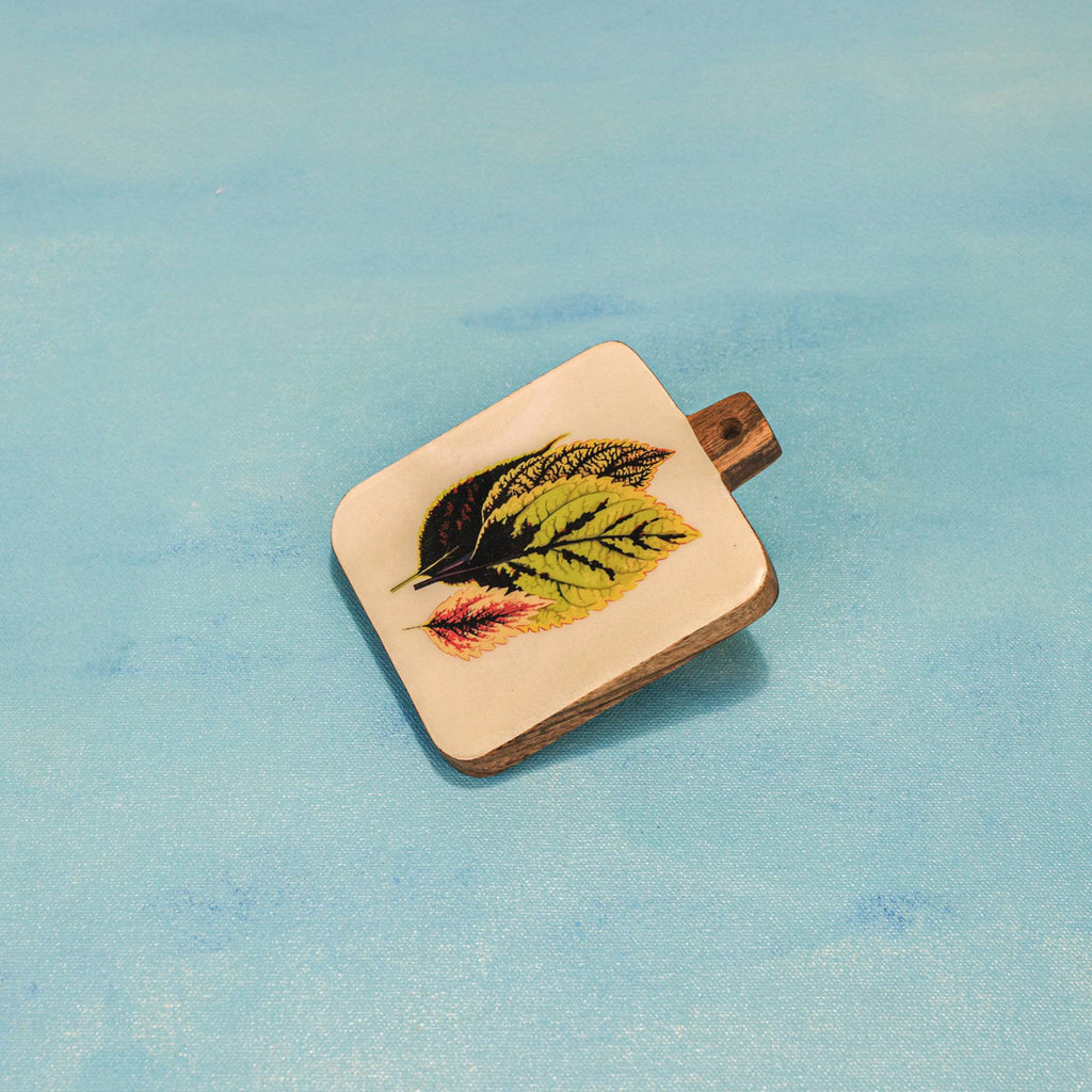 Timber Leaf Coaster Set – Onderzetters – Acaciahout en emaille – ingewikkeld ontwerp (set van 4)