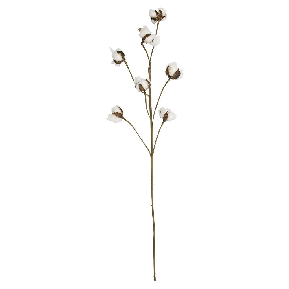 Siertak katoenplant 80cm*