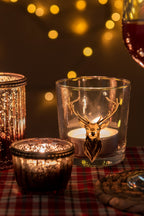 Waterglas 250 ml Bruin Glas Rendier Drinkbeker