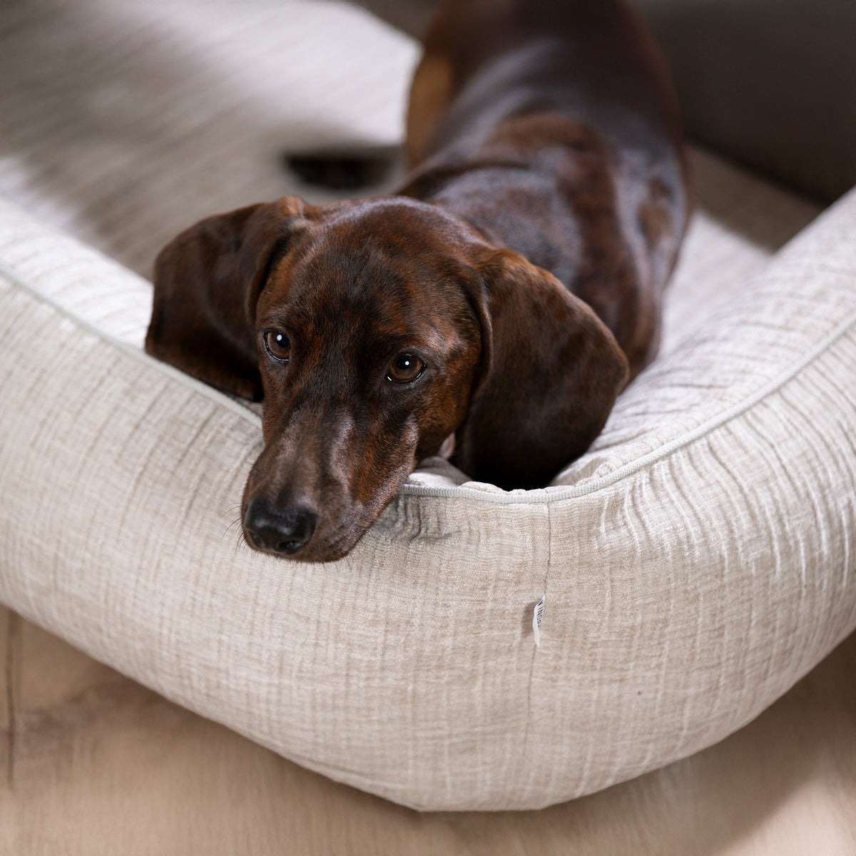 Nova Classic Hondenbed
