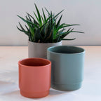 Eno pot mat olijf