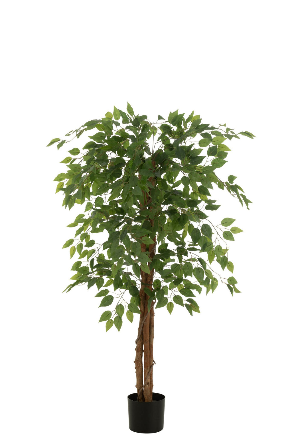J-Line ficus in Pot - kunststof - lichtgroen
