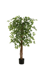 J-Line ficus in Pot - kunststof - lichtgroen