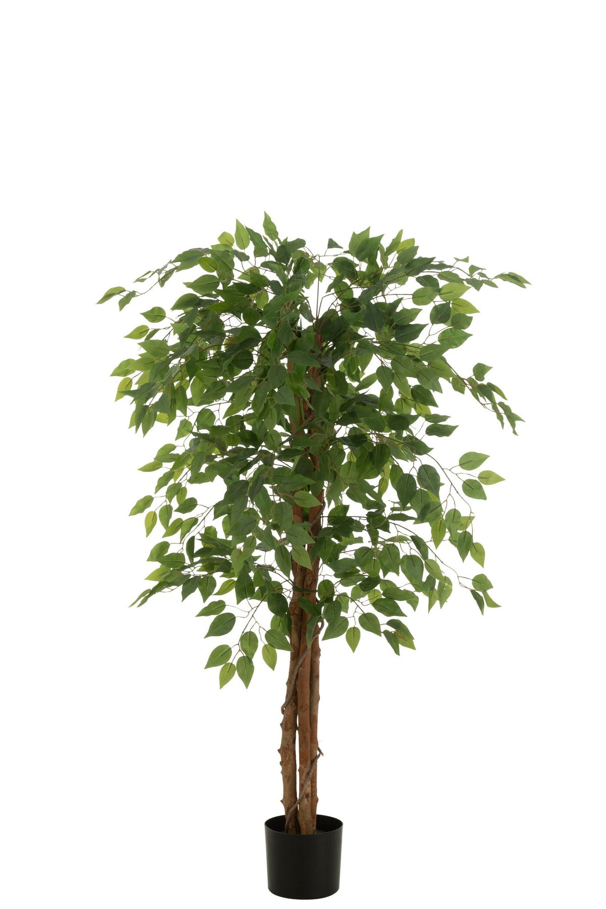 J-Line ficus in Pot - kunststof - lichtgroen
