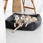 Teddy I Klassiek Hundebett