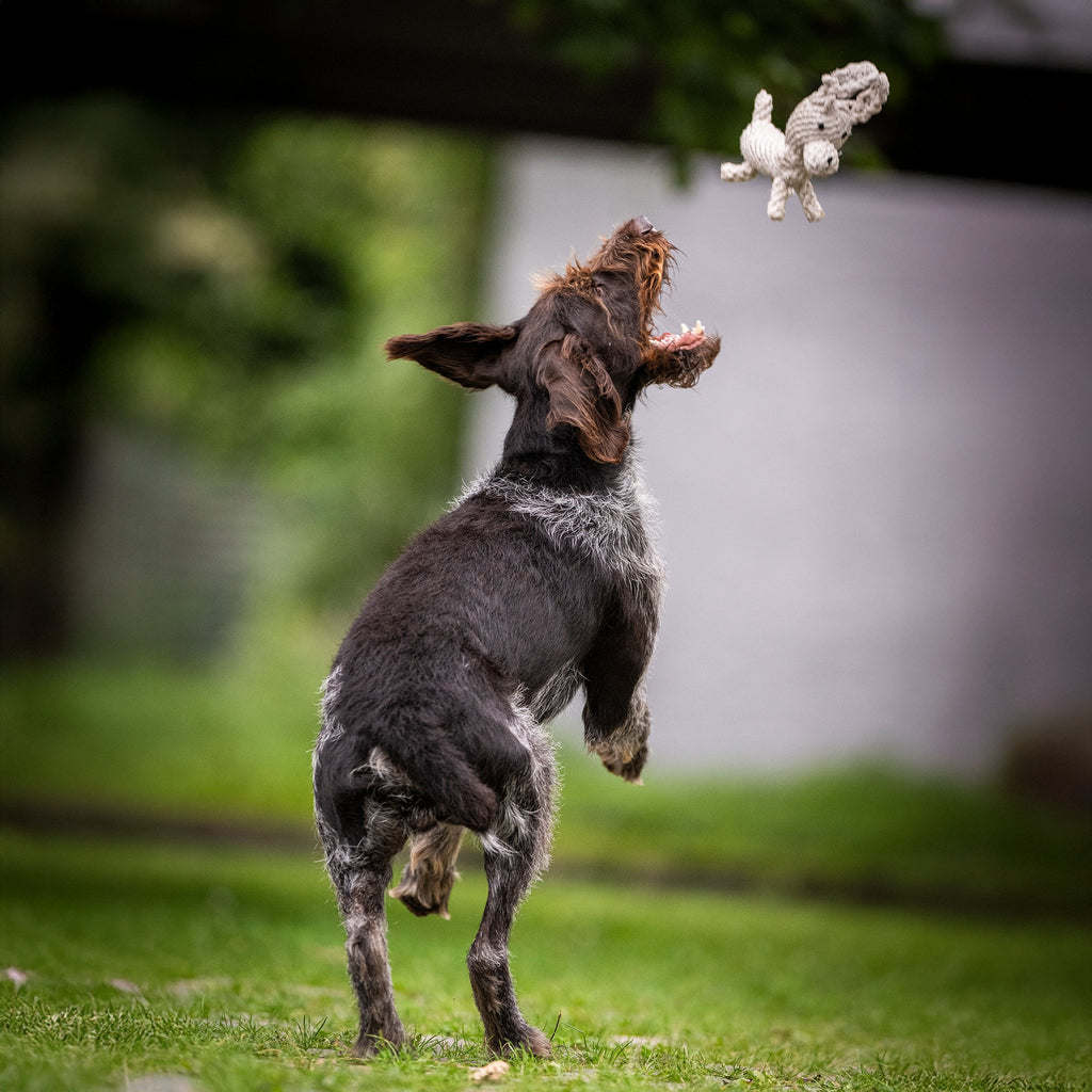 Richie Retriever - cultspeelgoed voor honden